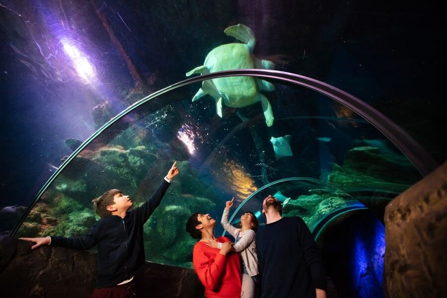 London: Madame Tussauds, London Eye & SEA LIFE Combo Ticket - Madame Tussauds: start with the red carpet