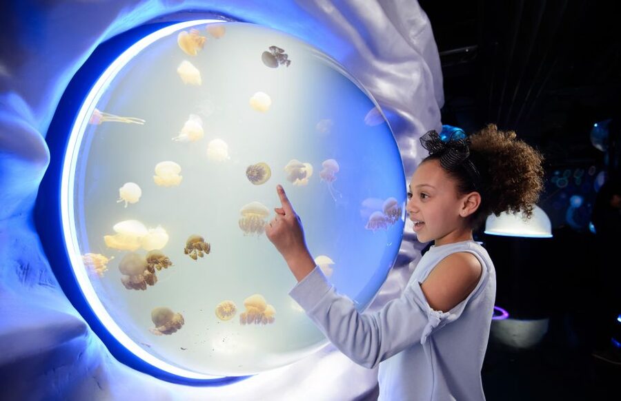 London: Madame Tussauds, SEA LIFE and London Dungeon Entry - Three London attractions, three very different moods
