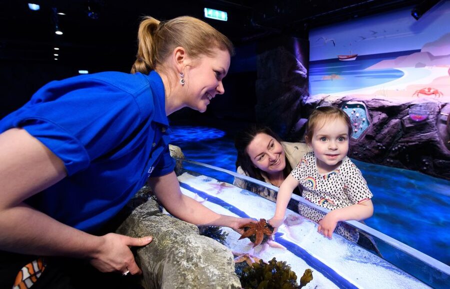 London: Madame Tussauds, SEA LIFE and London Dungeon Entry - The London Dungeon: theatrical scares from London’s past