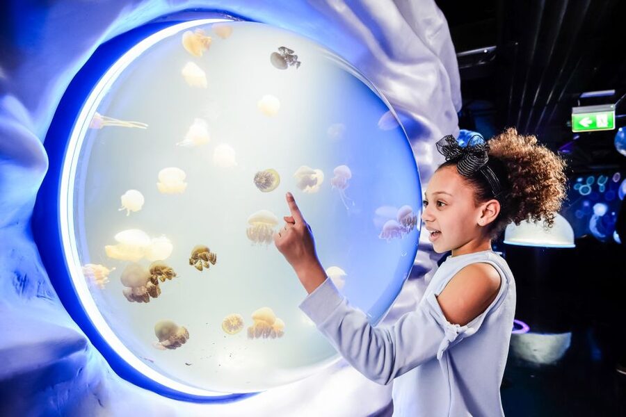 London: SEA LIFE Entry Ticket - A giant aquarium in the heart of London