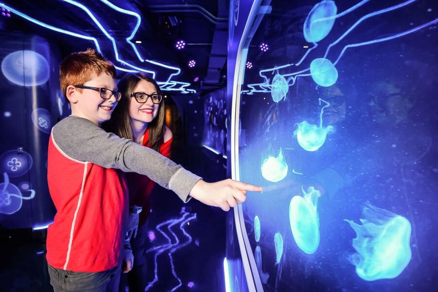 London: SEA LIFE Entry Ticket - Ranger Andy’s Amazon rainforest