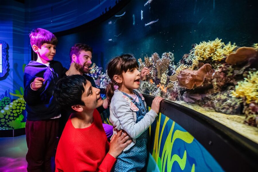 London: SEA LIFE Entry Ticket - How long should you allow?