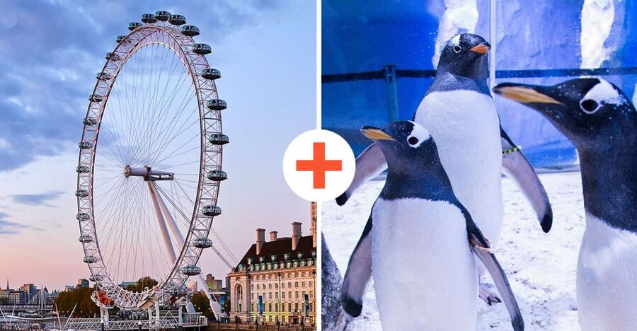 London: SEA LIFE & London Eye Combo Ticket - Planning the walk to the London Eye