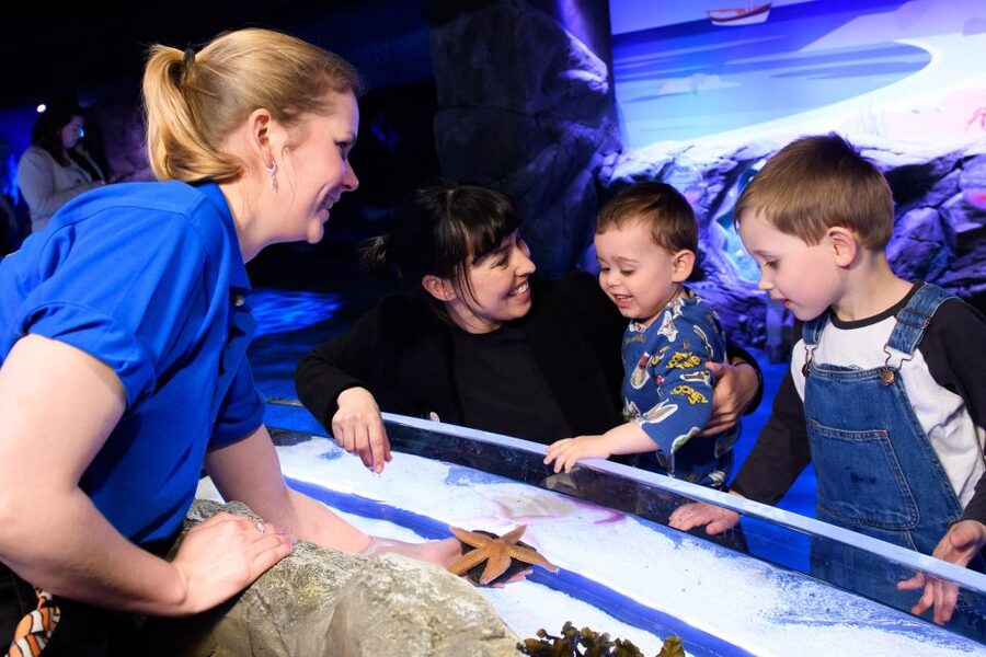 London: SEA LIFE & London Eye Combo Ticket - Queues, crowds, and what the price really buys
