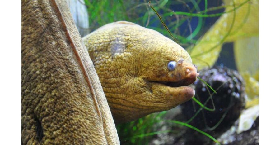 Los Angeles: Heal The Bay Aquarium in Santa Monica - A Short, Hands-On Route Through the Exhibits