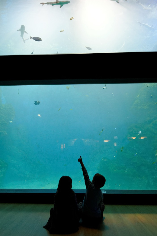 Lyon: Aquarium Entrance Ticket - Key points to know before you go