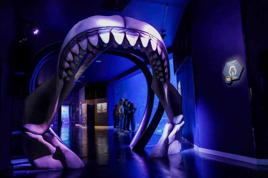 Madrid: Atlantis Aquarium Entry Ticket - From mangroves to coral reefs