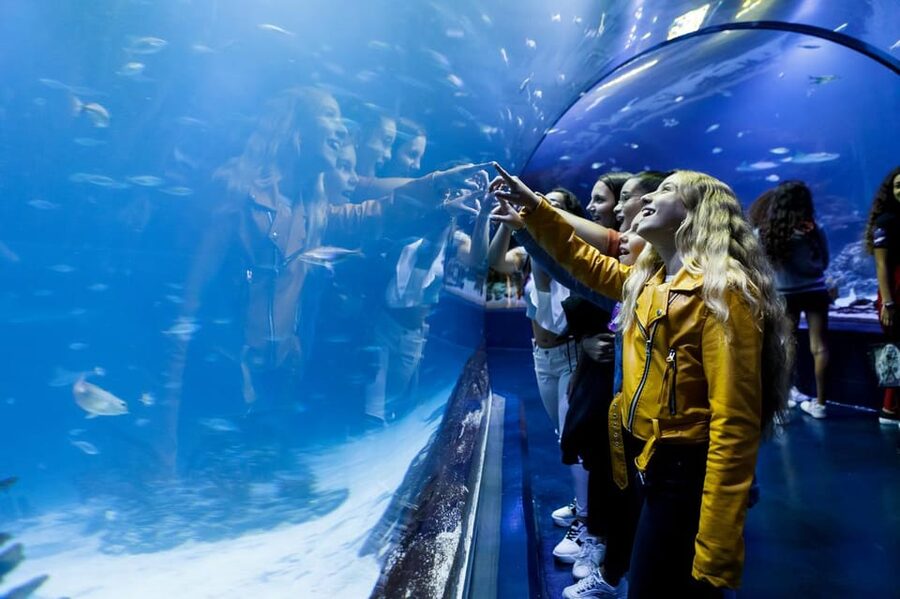 Madrid: Atlantis Aquarium Entry Ticket - Starting in Xanadú, outside central Madrid