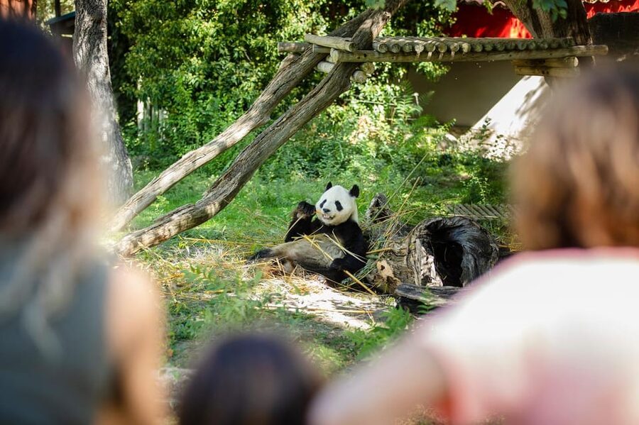 Madrid: Zoo Aquarium Madrid Ticket - A large park in the middle of Casa de Campo