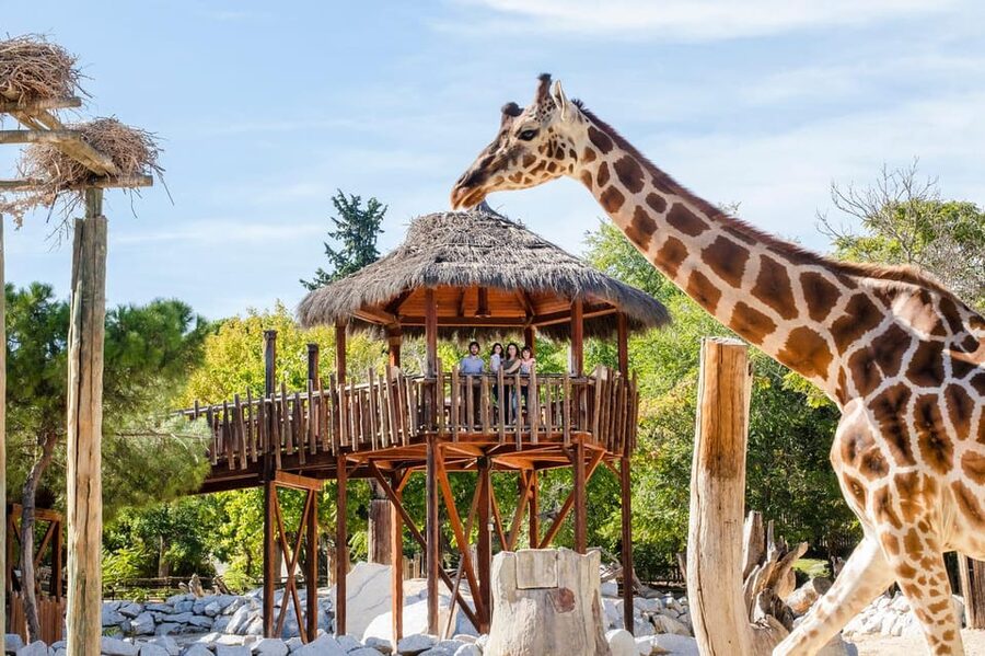 Madrid: Zoo Aquarium Madrid Ticket - The aquarium is smaller but worth your time