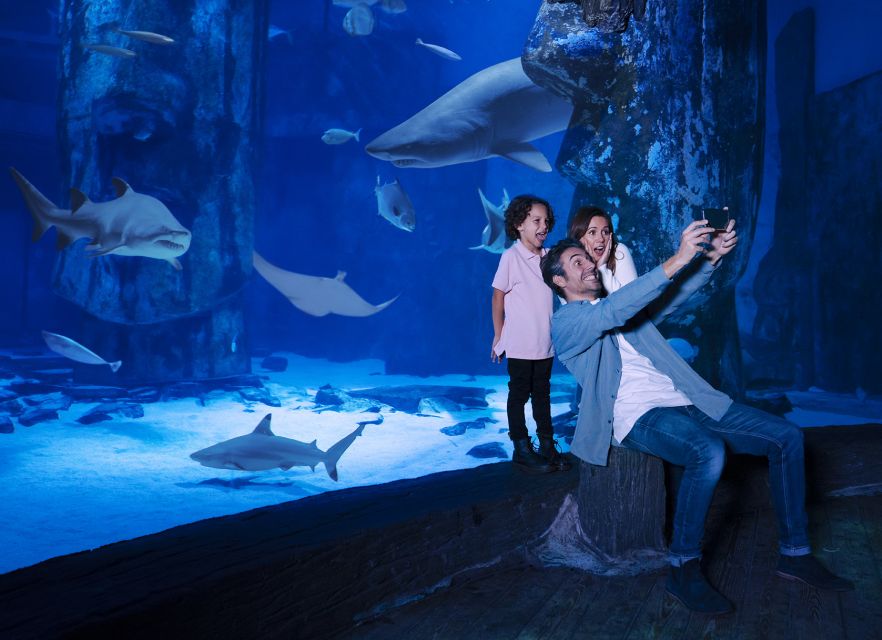 Mall of America: Sea Life Minnesota Aquarium Entry Ticket - Key points at a glance