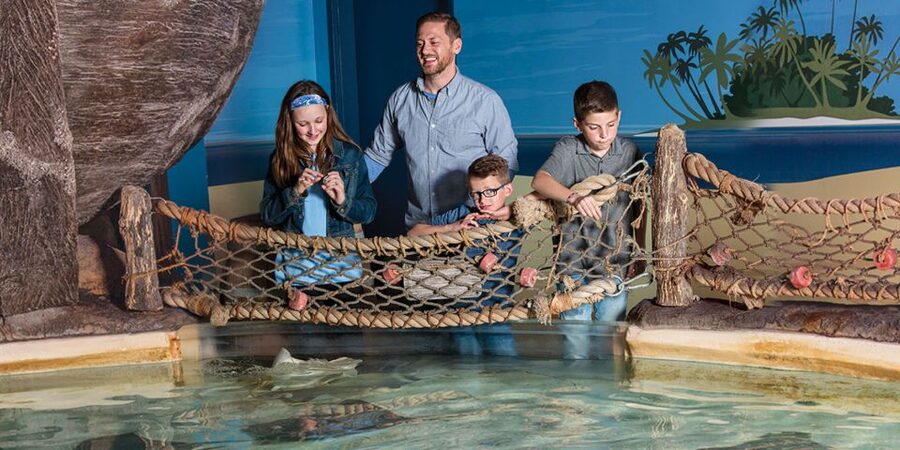 Mall of America: Sea Life Minnesota Aquarium Entry Ticket - The optional Behind-the-Scenes experience