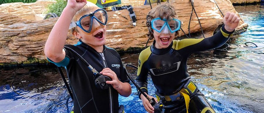 Mallorca: Palma Aquarium Entry Ticket w/ Optional 3D Cinema - Why Big Blue is the main event