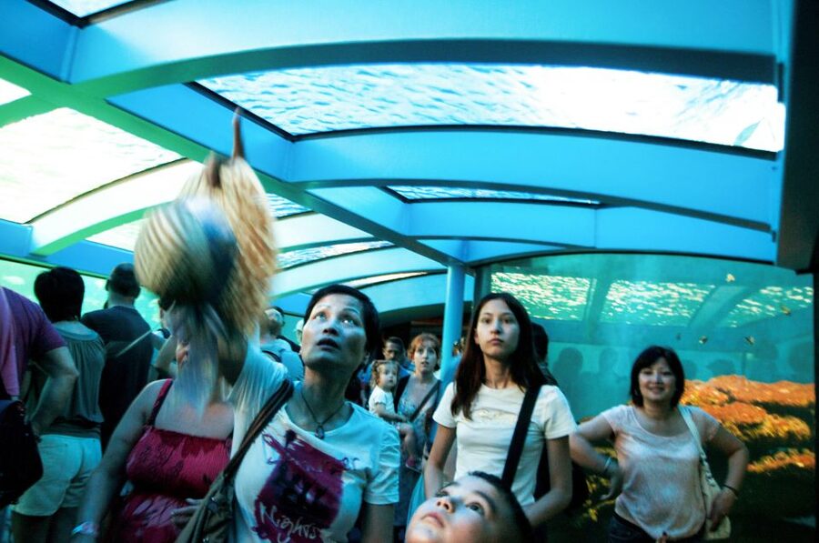 Mallorca: Palma Aquarium Entry Ticket w/ Optional 3D Cinema - Feeding times give your visit a useful rhythm