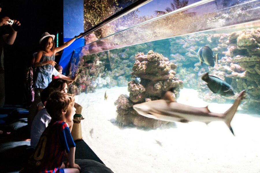 Mallorca: Palma Aquarium Entry Ticket w/ Optional 3D Cinema - The Aquadome 3D whale film