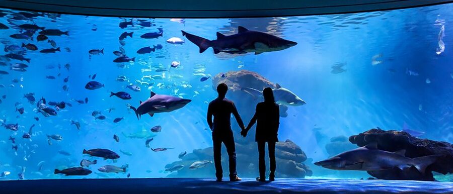 Mallorca: Palma Aquarium Entry Ticket w/ Optional 3D Cinema - Why families can spend most of a day here
