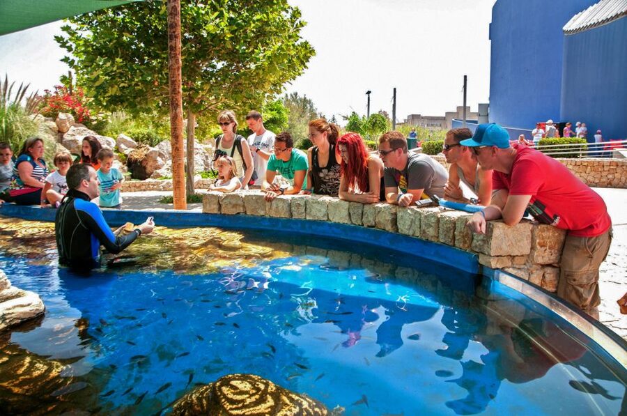 Mallorca: Palma Aquarium Entry Ticket w/ Optional 3D Cinema - How long to allow and when to arrive