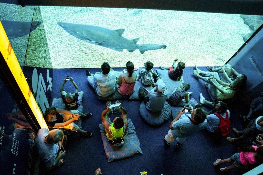 Mallorca: Palma Aquarium Entry Ticket w/ Optional 3D Cinema - Price and what you get for $36