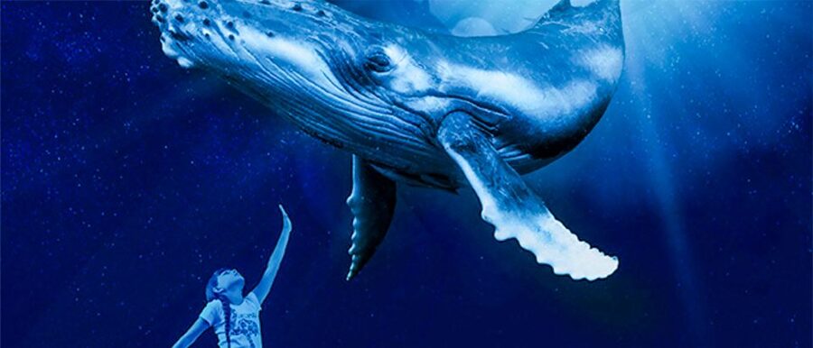Mallorca: Palma Aquarium Entry Ticket w/ Optional 3D Cinema - Eight habitats, from the Mediterranean to the jungle