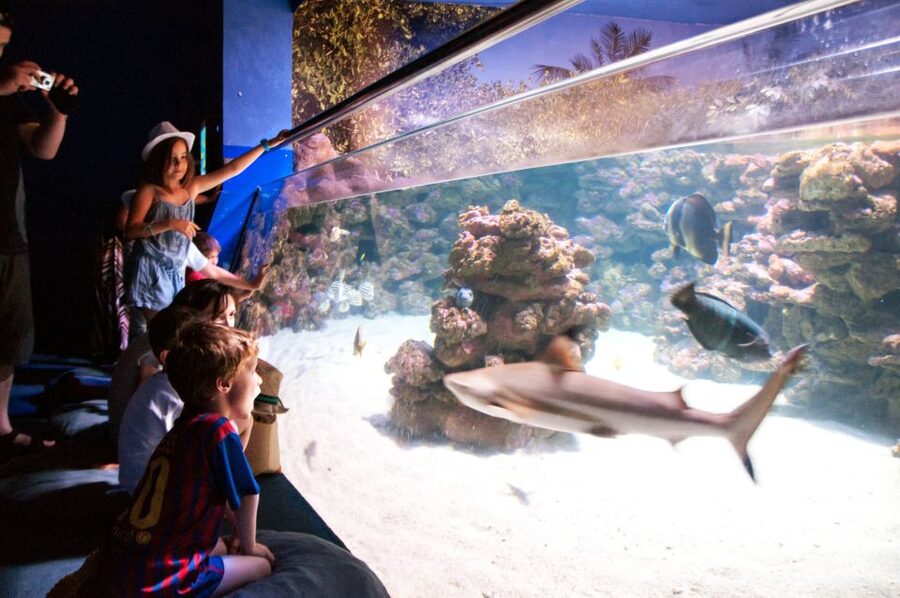 Mallorca: Palma Aquarium with Transfers, Guide & Fast Entry - Fast entry and a generous block of free time