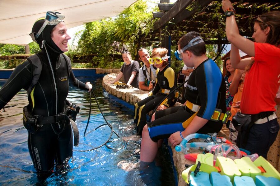 Mallorca: Palma Aquarium with Transfers, Guide & Fast Entry - Tropical Seas and corals from two worlds