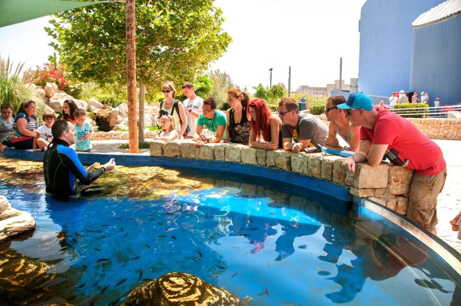 Mallorca: Palma Aquarium with Transfers, Guide & Fast Entry - The Jungle brings waterfalls and freshwater life
