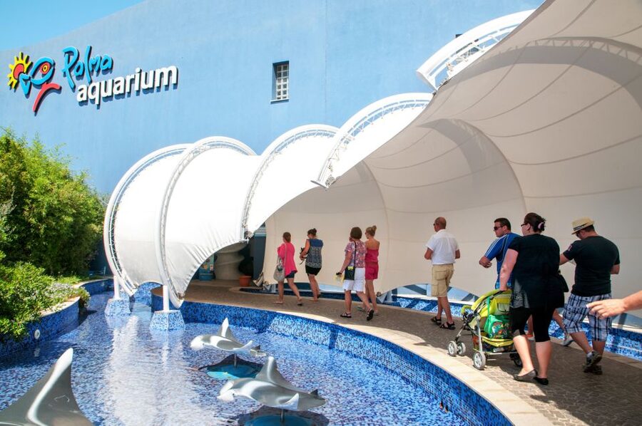 Mallorca: Palma Aquarium with Transfers, Guide & Fast Entry - The Big Blue is the main event