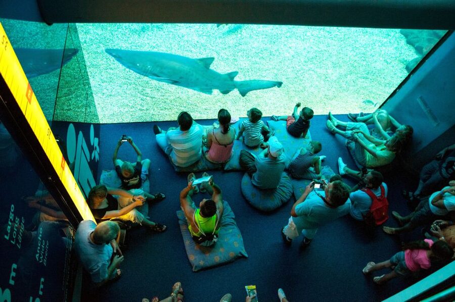 Mallorca: Palma Aquarium with Transfers, Guide & Fast Entry - Gardens, Pirate Ship, and a break from the exhibits
