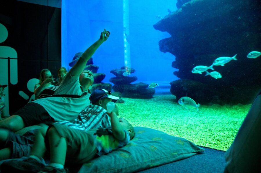 Mallorca: Palma Aquarium with Transfers, Guide & Fast Entry - Eating at the aquarium or walking to the beach