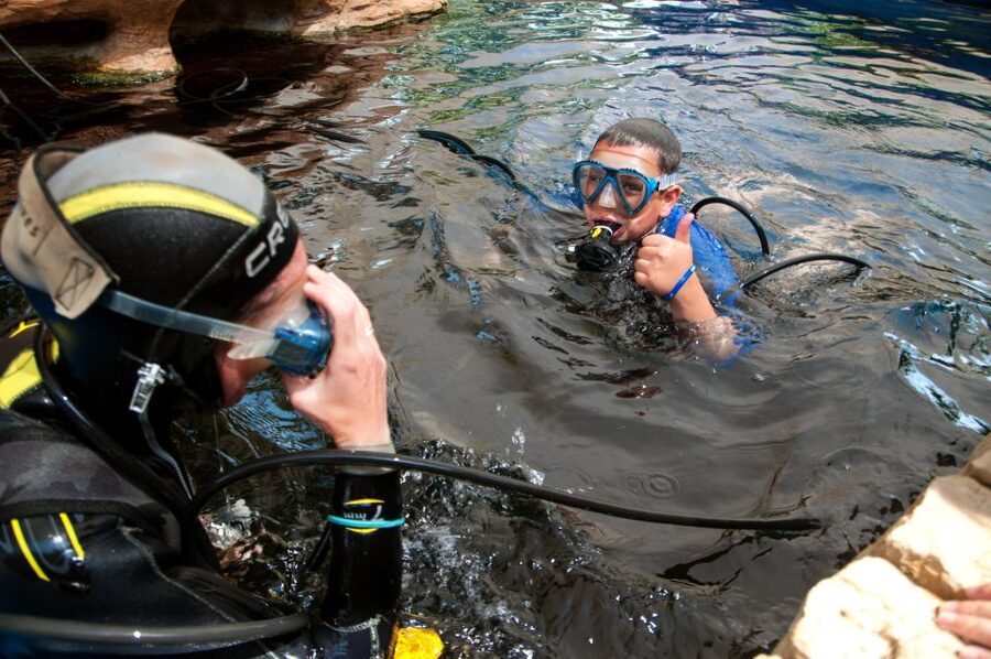 Mallorca: Palma Aquarium with Transfers, Guide & Fast Entry - Optional extras and where the price can rise