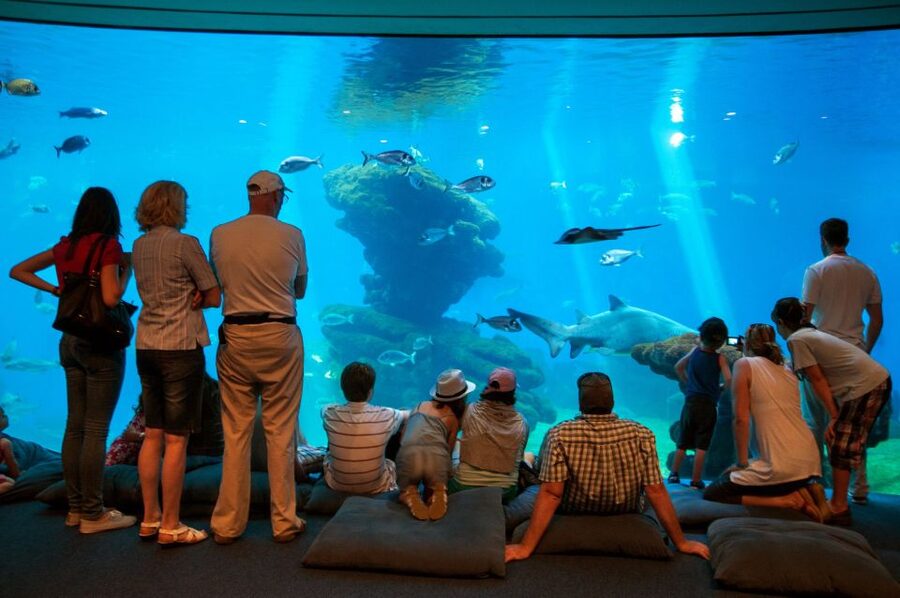 Mallorca: Palma Aquarium with Transfers, Guide & Fast Entry - Mediterranean waters first, with local context