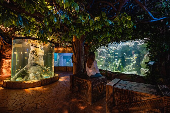 Malta National Aquarium Entrance Ticket - What you see in all 52 tanks