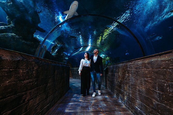 Malta National Aquarium Entrance Ticket - Staff, talks, and special activities