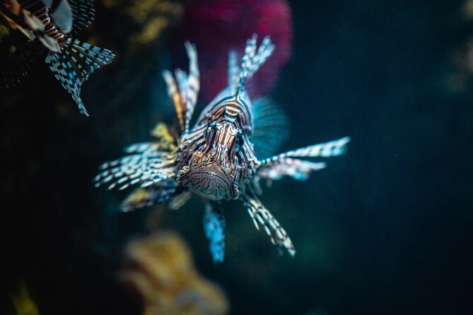 Malta National Aquarium Entrance Ticket - Who should book this aquarium ticket