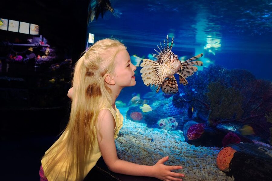 Manchester: SEA LIFE Entrance Ticket - Food planning matters more than you might expect