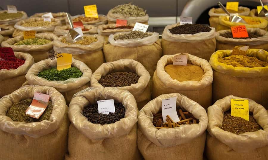 Mauritius: North Tour with Tea Tasting & Oceanarium Visit - What to bring for a nine-hour northern route