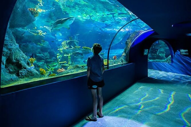 Mauritius Odysseo Oceanarium in Port Louis - Port Louis location and the first look inside