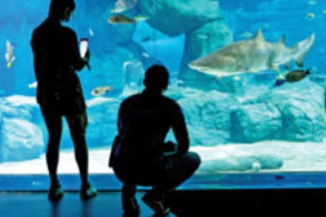 Mauritius Odysseo Oceanarium in Port Louis - Coral, habitats, and the Indian Ocean focus