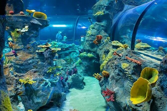 Mauritius Odysseo Oceanarium in Port Louis - Is $42 a fair price?