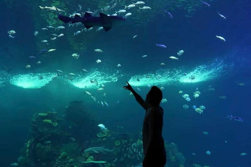 Mazatlan: Grand Aquarium Ticket and City Sightseeing Tour - Key points at a glance