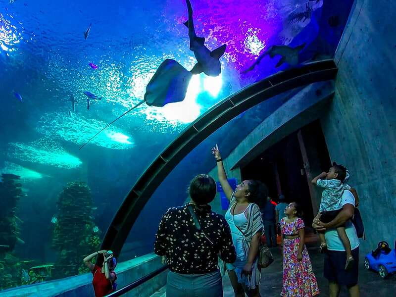 Mazatlan: Grand Aquarium Ticket and City Sightseeing Tour - Entering the Grand Aquarium with Premium Access