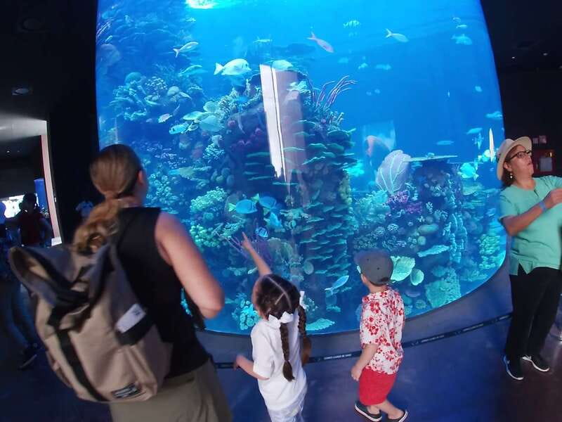 Mazatlan: Grand Aquarium Ticket and City Sightseeing Tour - A short city tour with local stories
