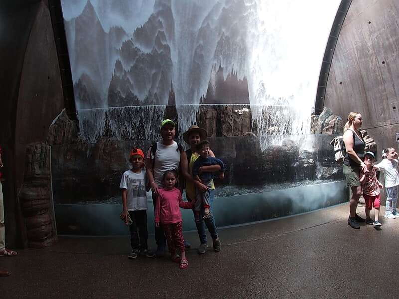 Mazatlan: Grand Aquarium Ticket and City Sightseeing Tour - What the private format really gives you