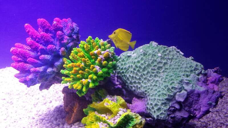 Mexico City: Inbursa Aquarium optional Round trip transfer - Why the underground setting changes the visit
