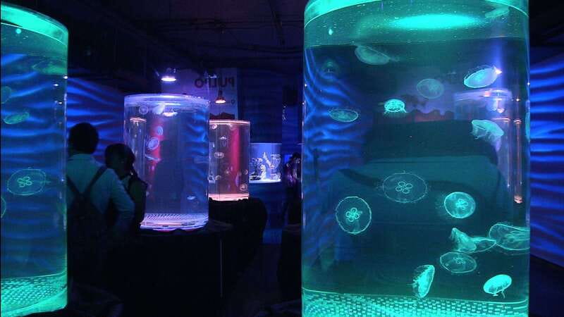Mexico City: Inbursa Aquarium optional Round trip transfer - A route through 48 exhibits