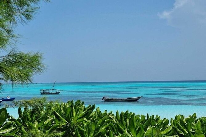 Mnemba Island Half Day Live Aquarium With Transfer - Zanzibar - Key points before you book