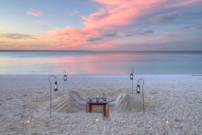 Mnemba Island Half Day Live Aquarium With Transfer - Zanzibar - Dolphin watching, with realistic expectations