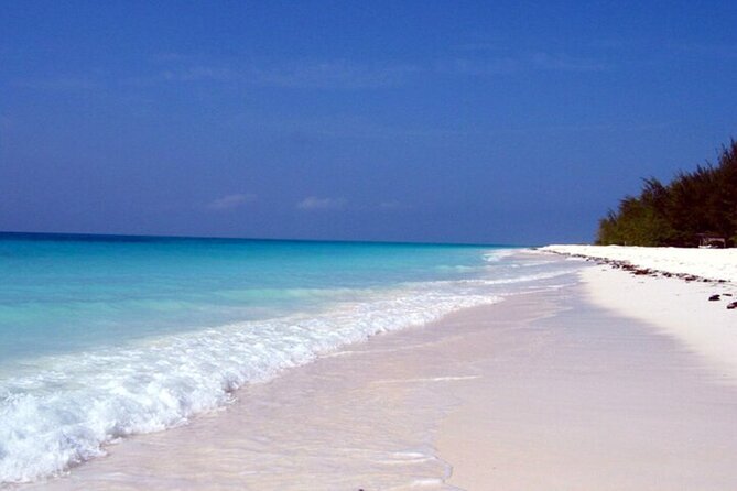 Mnemba Island Half Day Live Aquarium With Transfer - Zanzibar - What $46 buys you