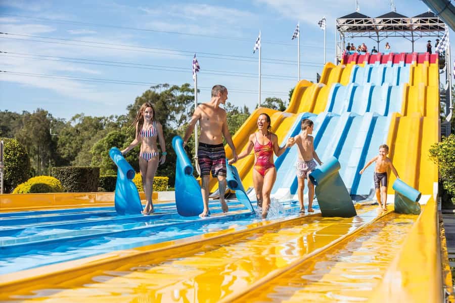 Movie World, Sea World, Wet’n’Wild & More - 5 Day Pass - Sea World: animals, presentations, and a slower pace