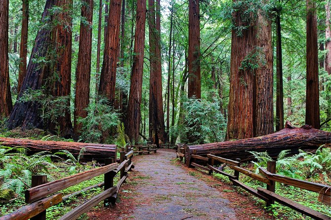 Muir Woods with Napa & Sonoma Wine Tour + Alcatraz Tour & Aquarium Access - Wine tastings across Sonoma and Napa